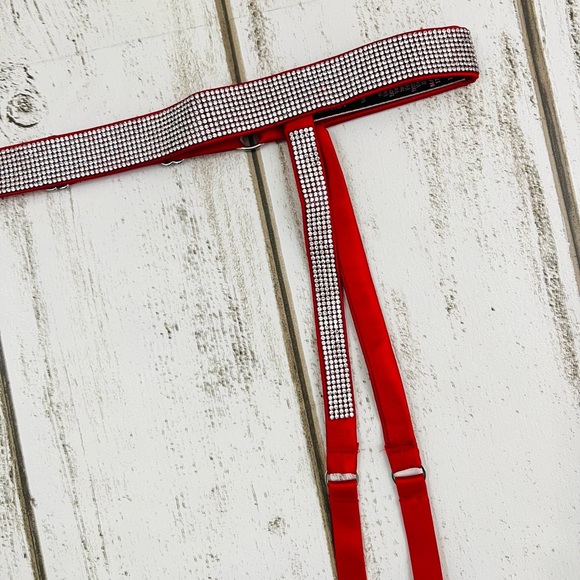 M-M/L Victoria’s Secret Shine Strap Brazilian Pantie & Garter Belt Set - Picture 6 of 9